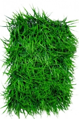 70 Uskršnje kocke trave